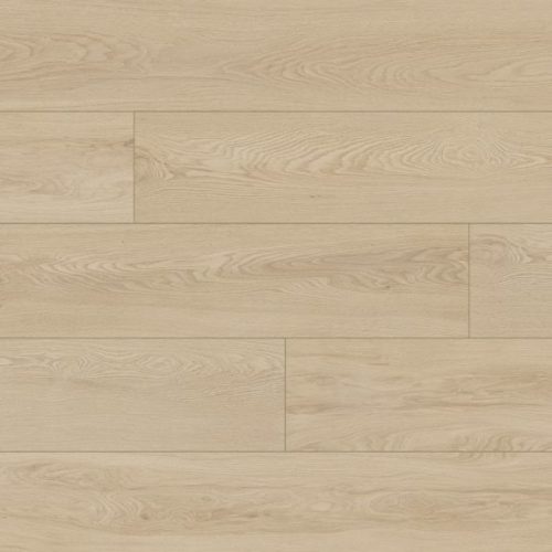 Dąb Potenza 65121 Classen
